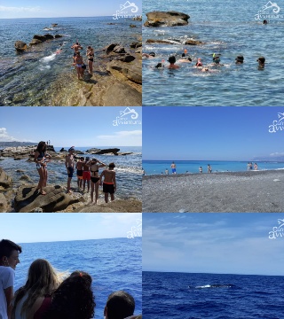 2LIGURIA8-tile 2LIGURIA8-tile