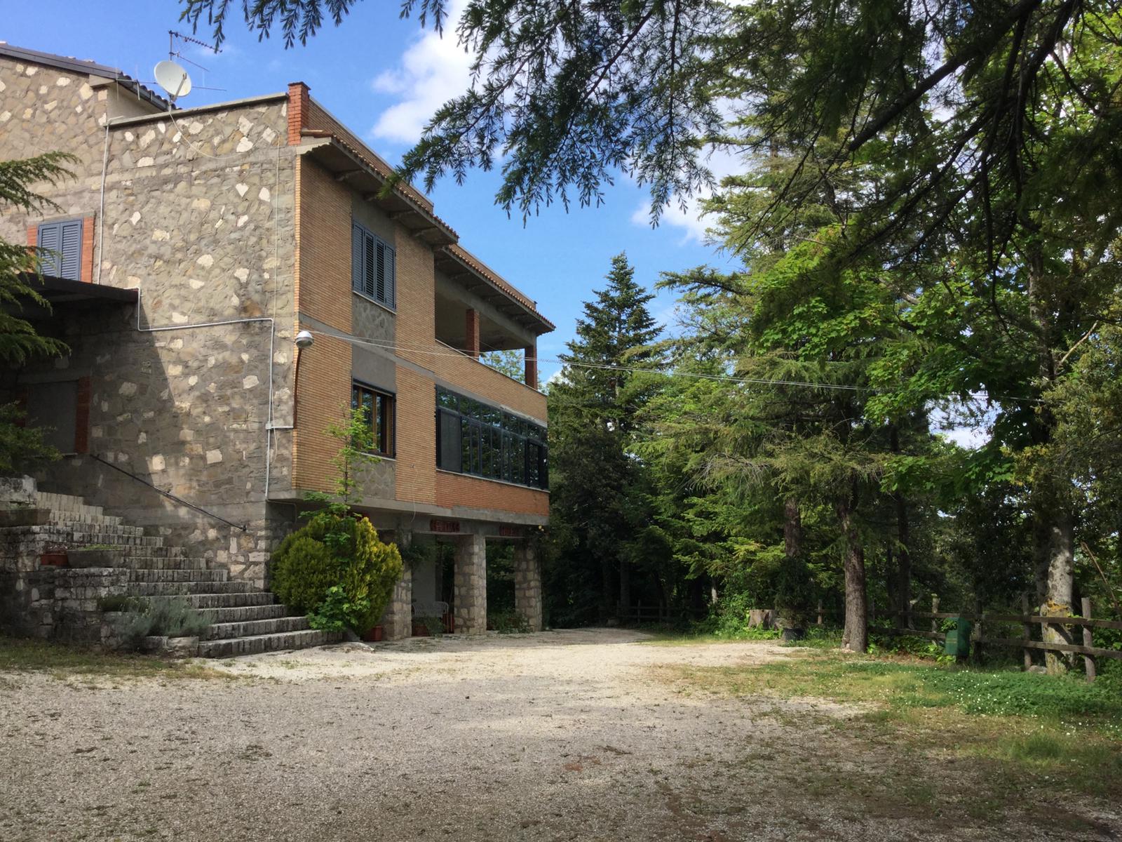albergo la pineta cortino