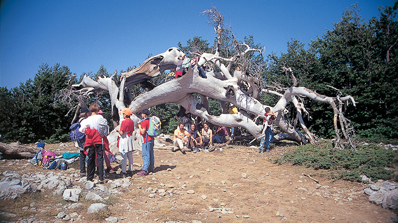 pollino-2024-foto-07