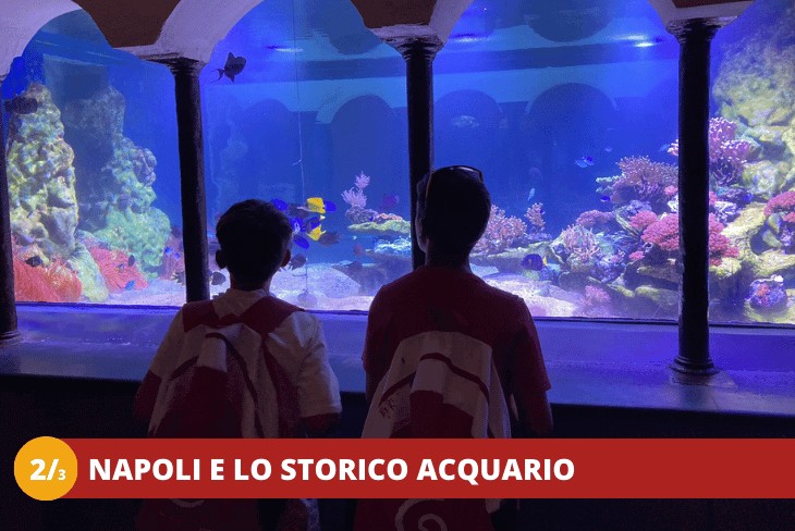 2_3-CAMPANIA-BAIA-DOMIZIA-A-TUTTO-DIVERTIMENTO