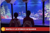 2_3-CAMPANIA-BAIA-DOMIZIA-A-TUTTO-DIVERTIMENTO 2_3-CAMPANIA-BAIA-DOMIZIA-A-TUTTO-DIVERTIMENTO