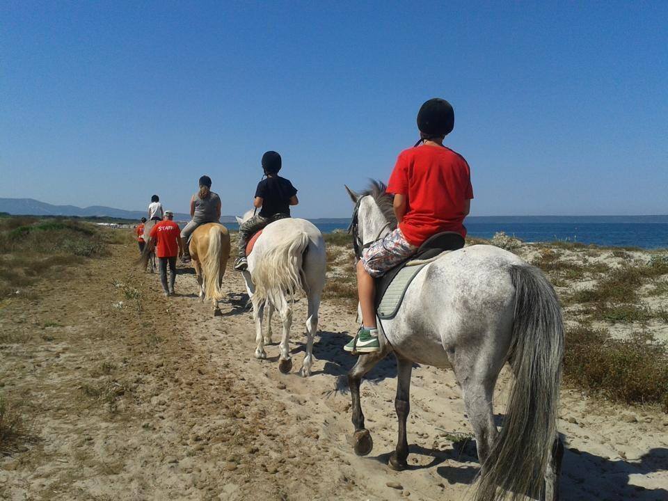 Cavallo4