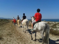Cavallo4 Cavallo4