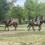 Depliant Centro Estivo 2026 per CRA2A_page40_image25 Depliant Centro Estivo 2026 per CRA2A_page40_image25