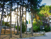 lignano struttua lignano struttua