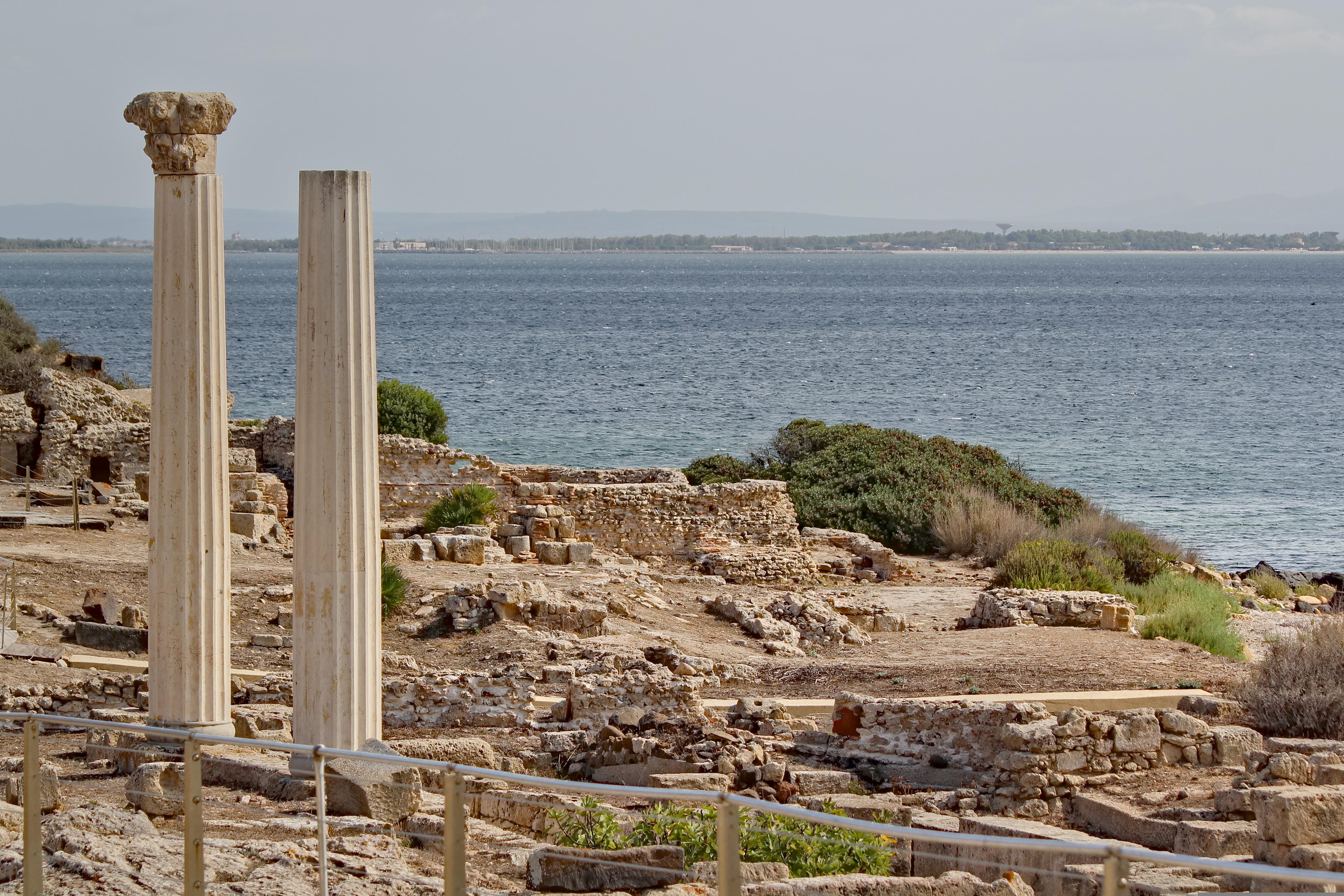 veverkolog-tharros-6650813